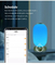 Умный фонарь Настольная лампа Декоративное приложение Tuya Alexa Google Smart WiFi LED Light