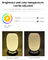 Умный фонарь Настольная лампа Декоративное приложение Tuya Alexa Google Smart WiFi LED Light