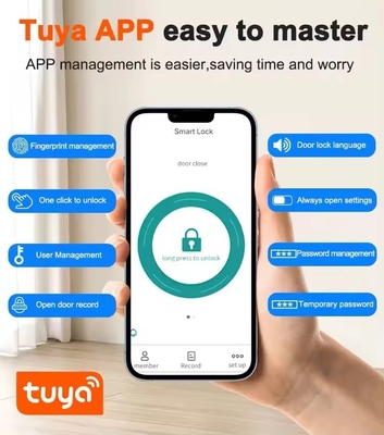 Glomarket Tuya Smart Security Цифровой дверной замок Биометрический отпечаток пальцев Ручка Умный замок Гостиница Квартира Замок Фабрика Цена