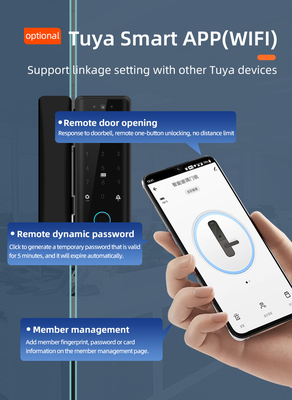 Glomarket Tuya Smart 3d распознавание лиц Wifi стеклянный дверной замок отпечатки пальцев Карта пароль Электронный стеклянный дверной замок для офиса