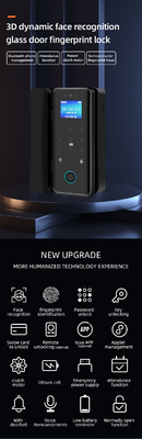 Glomarket Tuya Smart 3d распознавание лиц Wifi стеклянный дверной замок отпечатки пальцев Карта пароль Электронный стеклянный дверной замок для офиса