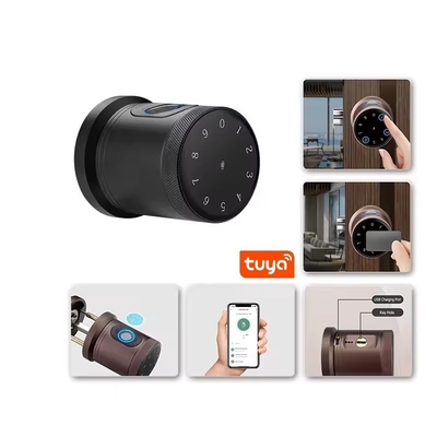 Гломаркет Новый стиль Tuya App Control Smart Lock Door Отпечаток пальца Пароль Дом Отель Квартира Электронный Умный Кнопка Дверь Замок