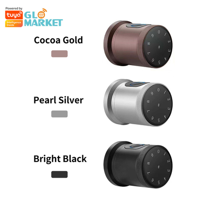 Гломаркет Новый стиль Tuya App Control Smart Lock Door Отпечаток пальца Пароль Дом Отель Квартира Электронный Умный Кнопка Дверь Замок