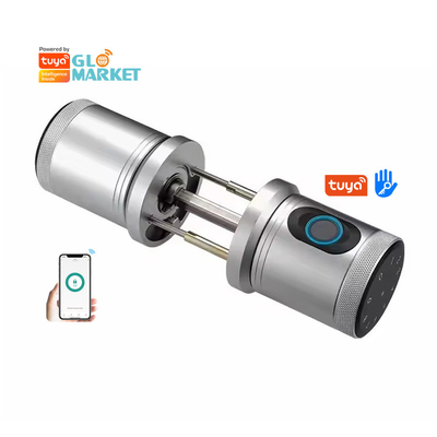 Гломаркет Новый стиль Tuya App Control Smart Lock Door Отпечаток пальца Пароль Дом Отель Квартира Электронный Умный Кнопка Дверь Замок