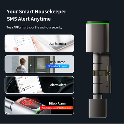 Glomarket Home Smart Door Lock Ttlock Smart Fingerprint Card Key Unlock Регулируемый цилиндр Euro Smart Lock Туя Приложение дверной замок