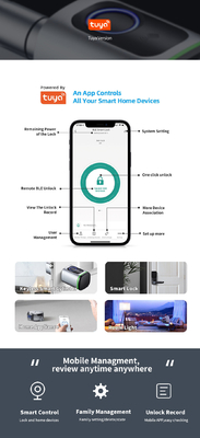 Glomarket Home Smart Door Lock Ttlock Smart Fingerprint Card Key Unlock Регулируемый цилиндр Euro Smart Lock Туя Приложение дверной замок